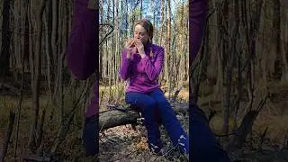 Кто любит как следует поесть на природе? 🌭🍗🍔 