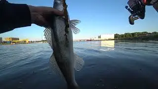 НОЧНОЙ БОНУС на последнем забросе!!! Ловля судака, окуня и щуки с берега на спиннинг.