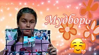 МУДБОРД своими руками 😉😘😗🔥❤