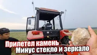 How do we separate and sort Bashkir horses? One day in the life of a farmer/ Idiyatullin Farm