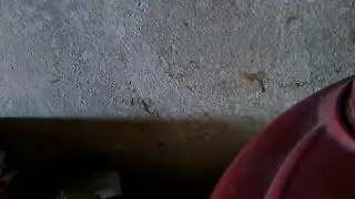 B9kep