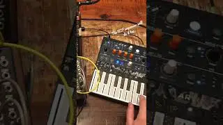 Microfreak + DFAM + Subharmonicon = Dawless Jam