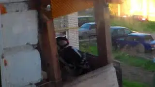 Что за птичка??