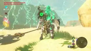 I was almost able to dpp all of the fire from the lynel!