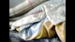 Клопы в общежитии. +7(499)6860371