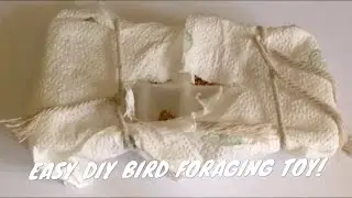 EASY DIY BIRD FORAGING TOY!
