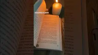читаю книгу, невеста ноября, Лия Арден #буктюб #писатель #книжныйблогер  #чтение #книжныйотзыв