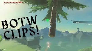 BOTW Clips that will amuse you!