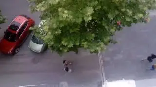 наказал шмар