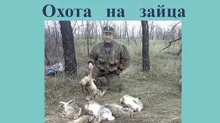 Удачная охота на зайца