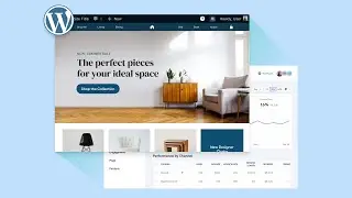 Amplitude for WordPress - Grow your website with confidence