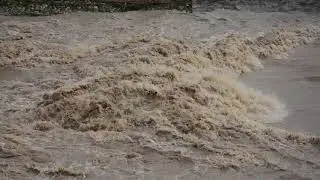 Lakhish Stream - December 2018