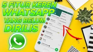 DARKMODE SUDAH, SELANJUTNYA??5 FITUR WHATSAPP YANG BELUM DIRILIS