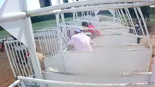 EL ARABE VS LA POCAHONTAS  220 YDS