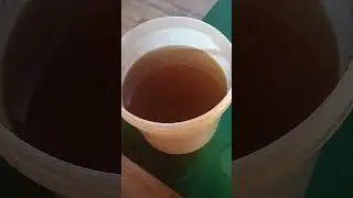 Чудесный МЁД