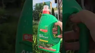 Дачные будни. Заготовки,  сбор урожая. Август .