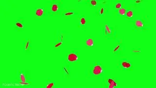 Free Falling Rose Petals Green Screen Background | 4K Footage
