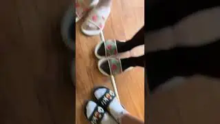 День в тапочках #shorts #тапки