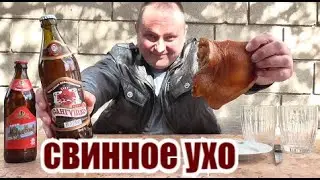 Пиво 