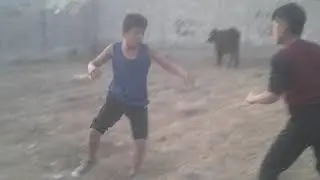 Таджик будушӣ ufc
