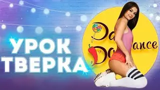 УРОК ТВЕРКА ДЛЯ НАЧИНАЮЩИХ