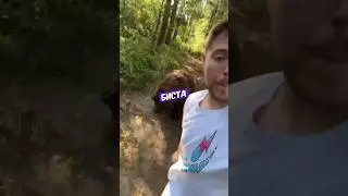 На Мистера Биста НАПАЛ МЕДВЕДЬ!😱