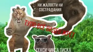Tiger level 100🐯
