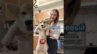 #егэ #егэ2024 #егэрусский #лектариум #огэ #огэ2024 #русскийязык #егэрусскийязык #огэрусскийязык