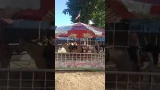 En la feria !!!