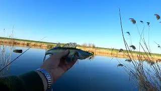 Рыбалка в краснодарском крае, джиг спиннинг, поиск новых мест для  рыбалки, и новых водоемов 1.04.23