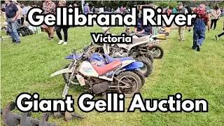 Gellibrand River Victoria - Giant Gelli Auction 2024