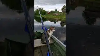 Вася Рыбак