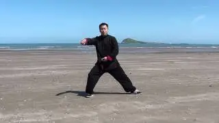 How to use waist in single whip