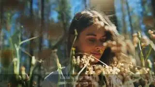 1 клип БЛАГОДАРНОСТИ