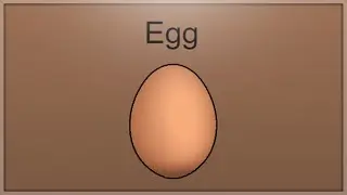 Egg