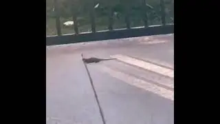 А теперь давайте обсудим важный вопрос