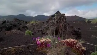 База вулканологов Ленинградская | Base volcanologists Leningrad