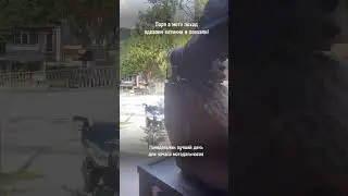 Понедельник хороший день что ты куда-то поехать