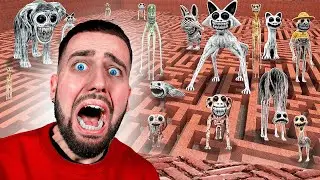 ZOONOMALY M'A TROUVÉ DANS CE LABYRINTHE !! 😨 ZOONOMALY HORROR GAME !