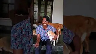 Aarattu annan's house address
