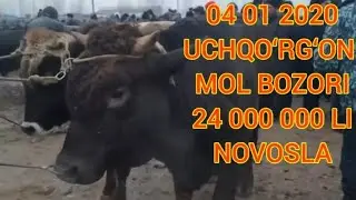 04.01.2020 ЯНГИ КУРГОН МОЛ БОЗОР 1 КИСМ