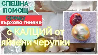 Срещу върхово гниене - водоразтворим калций за доматите бързо и ефективно с яйчени черупки.