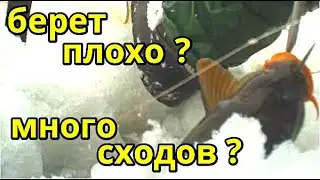 Рыбалка на Карпа .  Метель. Сезон 2023 -2024г. январь.