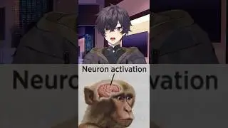 Imitation is success