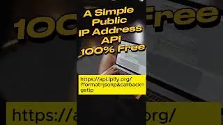 A Simple 100% Free Public IP Address API #shorts
