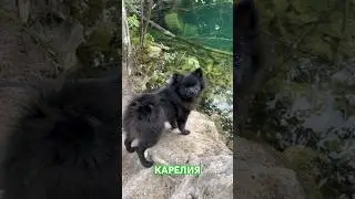 Рускеала