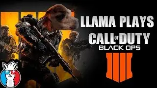 Racking Up The Wins - Llama Plays Blackout