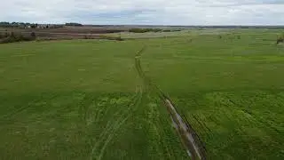 Луга около Цибикнура, Республика Марий Эл