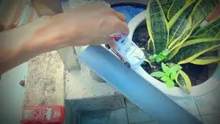 😻Wow😻 | Best Oddly Satisfying Videos | 