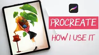My workflow in Procreate